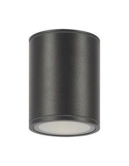 Maytoni Outdoor LED Ceiling Bar Lamp 12W 1300lm 3000K IP65 Graphite O306CL-L12GF. - product 2