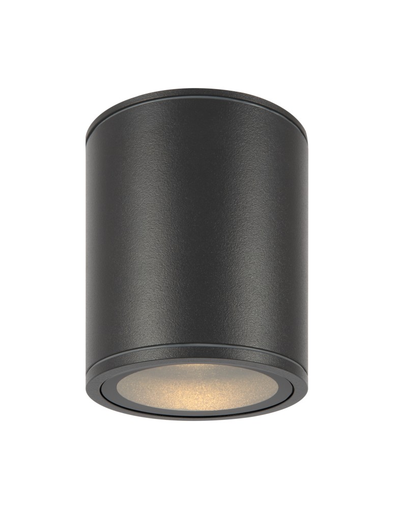 Outdoor ceiling lamps - Maytoni Outdoor LED Ceiling Bar Lamp 12W 1300lm 3000K IP65 Graphite O306CL-L12GF. - product kolory-swiatla.pl 4