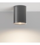 Outdoor ceiling lamps - Maytoni Outdoor LED Ceiling Bar Lamp 7W 800lm 3000K IP65 Graphite O306CL-L7GF. - product 1
