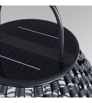 Portable garden lamps - Maytoni Outdoor LED Garden Plet 5W 100lm 3000K IP65 Black OSL599FL-L5B3K. - product 3