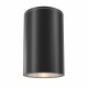 Maytoni Zewnętrzna Roll Lampa Sufitowa 1xGU10 50W IP54 Black O307CL-01B