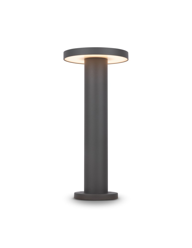 Standing garden lamps - Maytoni Outdoor Wald Garden LED 12W 1000lm 3000K IP65 Graphite O420FL-L12GF. - product kolory-swiatla.pl 2
