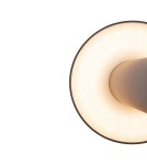 Standing garden lamps - Maytoni Outdoor Wald Garden LED 12W 1000lm 3000K IP65 Graphite O420FL-L12GF. - product 5