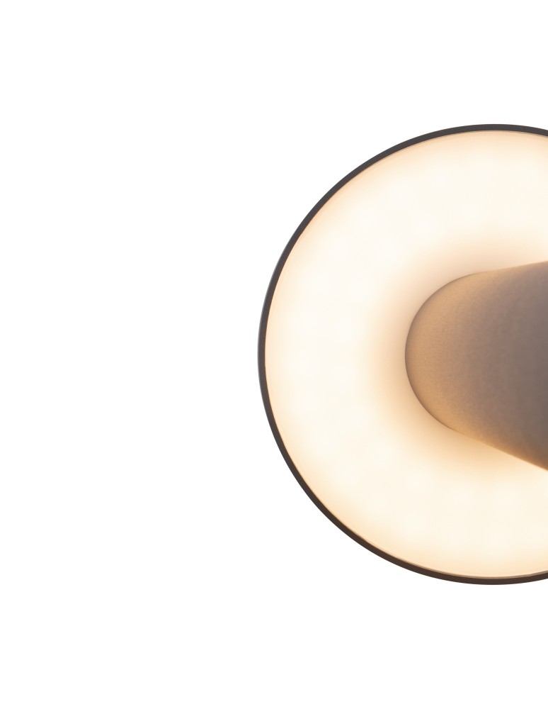 Standing garden lamps - Maytoni Outdoor Wald Garden LED 12W 1000lm 3000K IP65 Graphite O420FL-L12GF. - product kolory-swiatla.pl 5