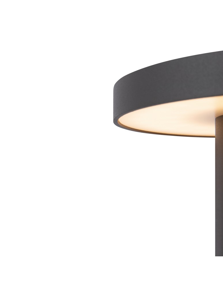 Standing garden lamps - Maytoni Outdoor Wald Garden LED 12W 1000lm 3000K IP65 Graphite O420FL-L12GF. - product kolory-swiatla.pl 6