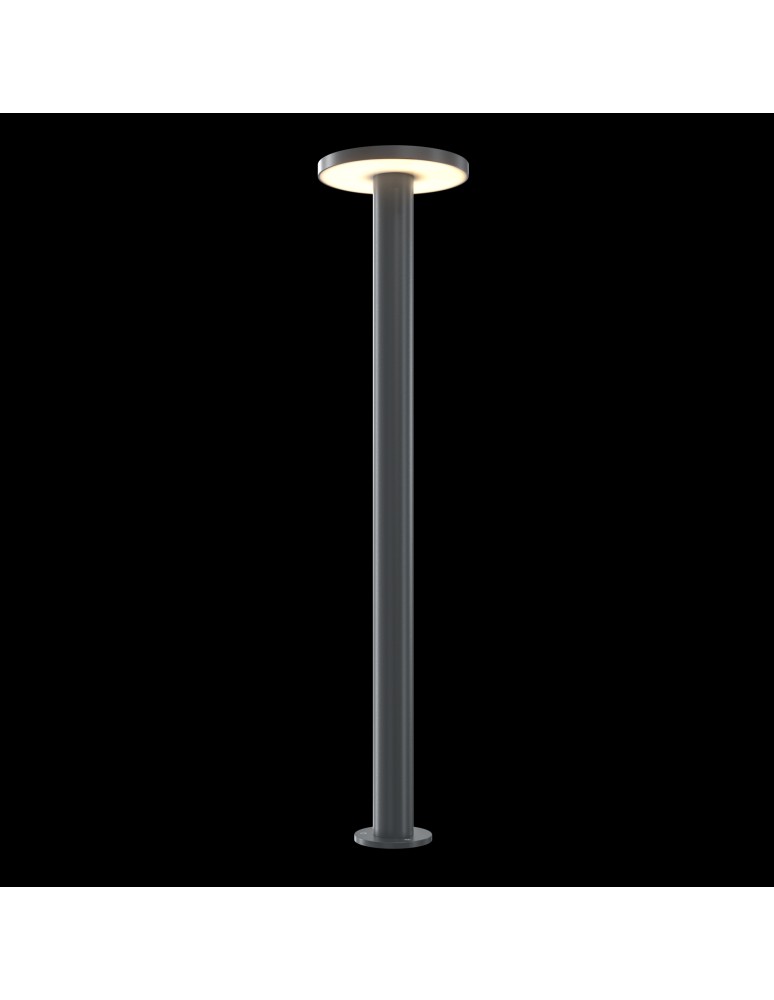 Standing garden lamps - Maytoni Outdoor Wald Garden LED 12W 1000lm 3000K IP65 Graphite O420FL-L12GF1. - product kolory-swiatla.pl 1