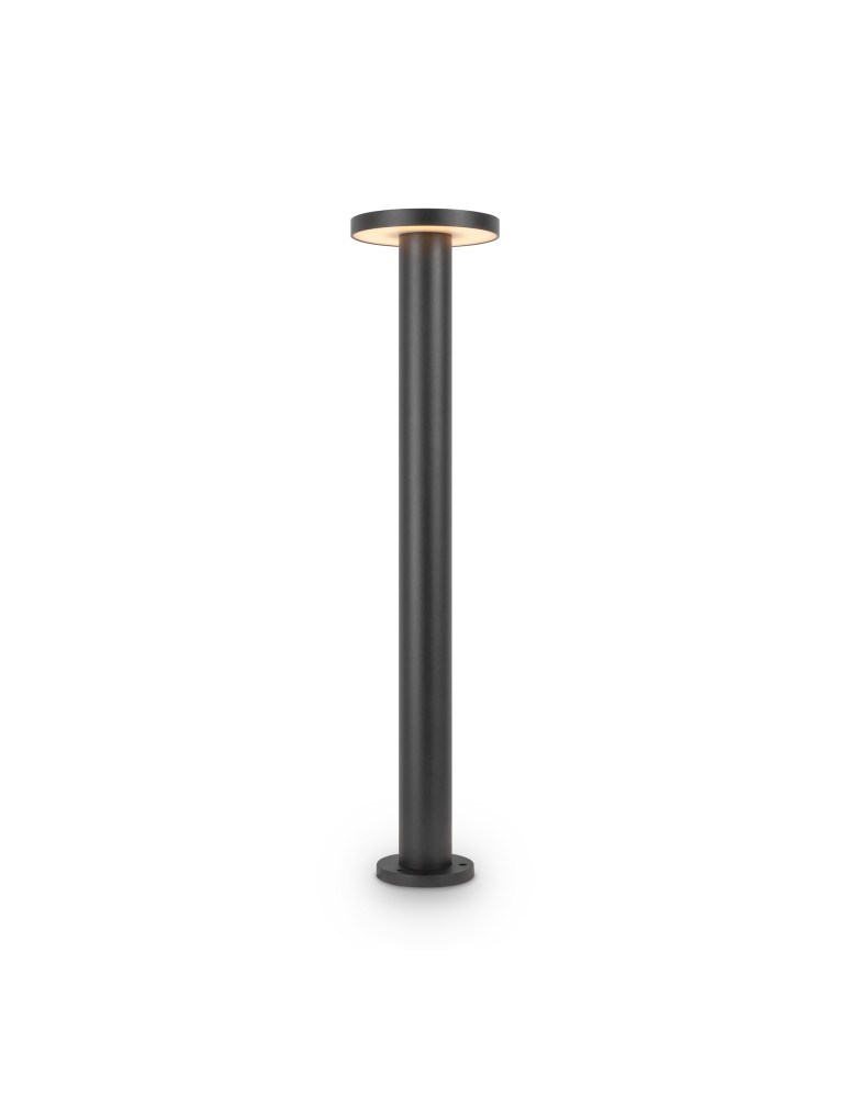 Standing garden lamps - Maytoni Outdoor Wald Garden LED 12W 1000lm 3000K IP65 Graphite O420FL-L12GF1. - product kolory-swiatla.pl 3