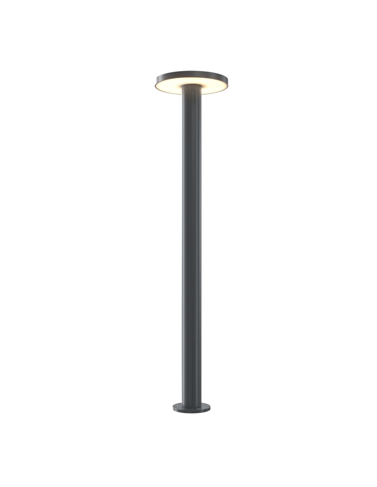 Standing garden lamps - Maytoni Outdoor Wald Garden LED 12W 1000lm 3000K IP65 Graphite O420FL-L12GF1. - product kolory-swiatla.pl 4