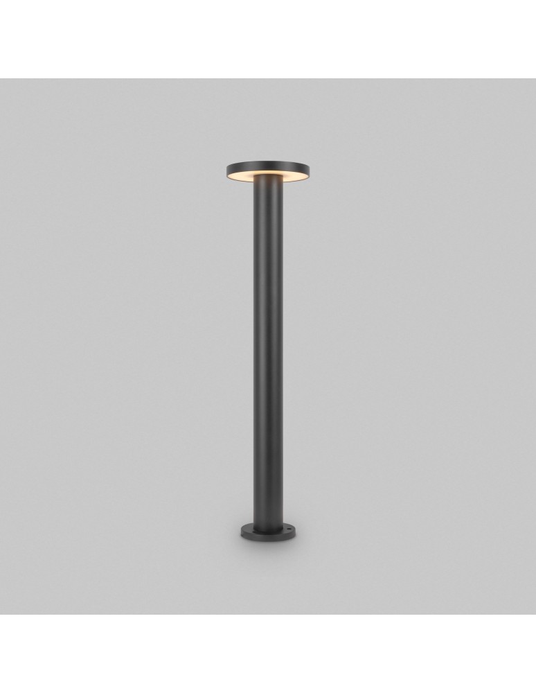 Standing garden lamps - Maytoni Outdoor Wald Garden LED 12W 1000lm 3000K IP65 Graphite O420FL-L12GF1. - product kolory-swiatla.pl 5