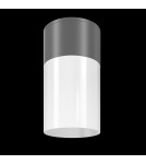 Outdoor ceiling lamps - Maytoni Outdoor Willis Ceiling Lamp 1xE27 60W IP54 Graphite O418CL-01GR. - product 2
