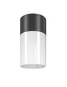 Maytoni Zewnętrzna Willis Lampa Sufitowa 1xE27 60W IP54 Black O418CL-01B