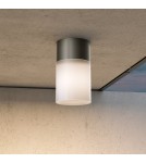 Outdoor ceiling lamps - Maytoni Outdoor Willis Ceiling Lamp 1xE27 60W IP54 Black O418CL-01B. - product 2