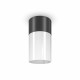 Maytoni Zewnętrzna Willis Lampa Sufitowa 1xE27 60W IP54 Black O418CL-01B