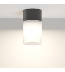 Outdoor ceiling lamps - Maytoni Outdoor Willis Ceiling Lamp 1xE27 60W IP54 Black O418CL-01B. - product 5