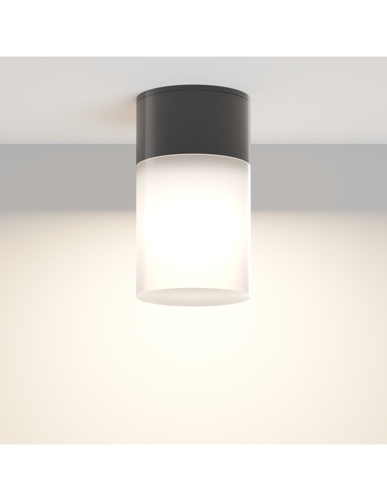 Outdoor ceiling lamps - Maytoni Outdoor Willis Ceiling Lamp 1xE27 60W IP54 Black O418CL-01B. - product kolory-swiatla.pl 5