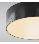 Outdoor ceiling lamps - Maytoni Outdoor Zon IP LED Ceiling Lamp 30W 2200lm 3000K IP65 Black O431CL-L30B3K. - product 4