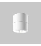 Outdoor ceiling lamps - Maytoni Outdoor Spin LED Ceiling Lamp 12W 1050lm 3000K IP54 White O310CL-L12W3K. - product 1
