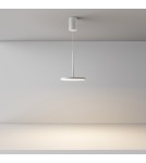 Single pendant lamps - Maytoni Plato LED Pendant Lamp 12W 790lm 3000K White P076PL-L12W3K-W. - product 3