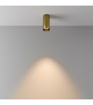 LED ceiling luminaires - Maytoni FOCUS LED Ceiling Lamp 12W 900lm 3000K Brass C056CL-L12W3K-W-BS. - product 3