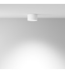 Ceiling luminaires for replaceable light source - Maytoni Hoop Ceiling Lamp 1xGX53 15W White C086CL-GX53-SRD-W. - product 4