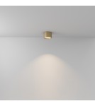 Bathroom ceiling lamps - Maytoni Hydra LED Ceiling Lamp 10W 650lm 3000K IP44 Gold Mat C090CL-10W3K-MG. - product 3