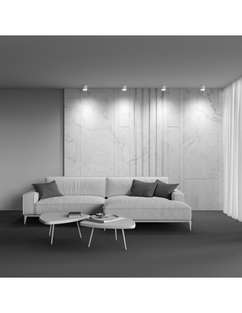 Ceiling luminaires for replaceable light source - Maytoni Polar Ceiling Lamp 1xGX53 15W White C088CL-GX53-W. - product kolory-swiatla.pl 5