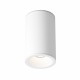 Maytoni Zoom Lampa Sufitowa 1xGU10 50W IP65 Biały C029CL-01-S-W