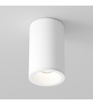 Hermetic ceiling luminaires - Maytoni Zoom Ceiling Lamp 1xGU10 50W IP65 White C029CL-01-S-W - product 4