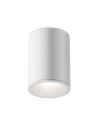 Maytoni Zoom Lampa Sufitowa 1xGU10 50W IP65 Biały C029CL-01W