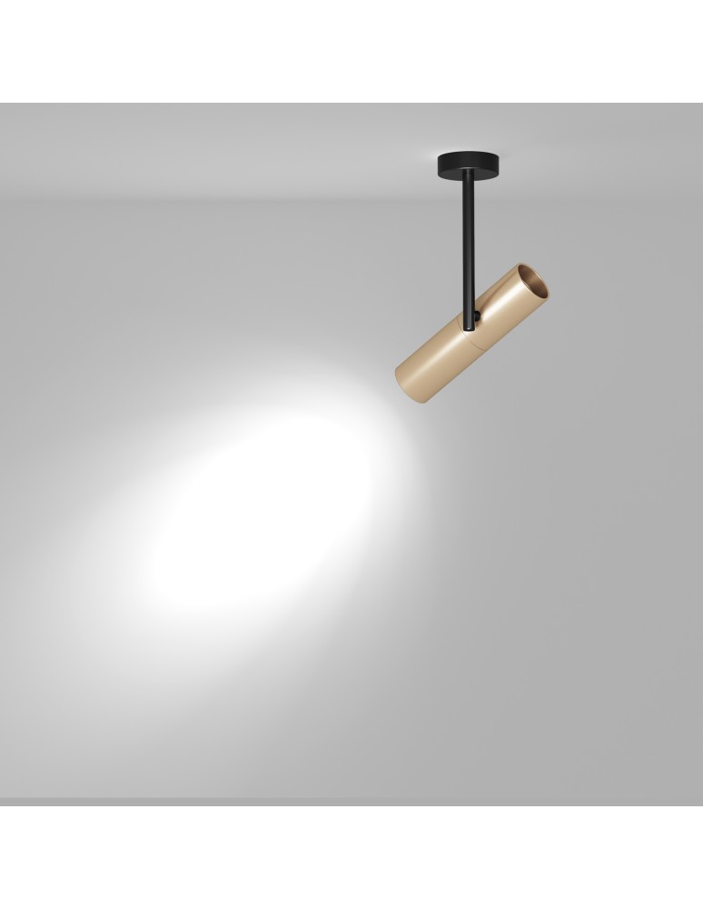 Adjustable ceiling lamps - spots - Maytoni Elti Ceiling Lamp 1xGU10 50W Black, Gold C020CL-01GB - product kolory-swiatla.pl 3