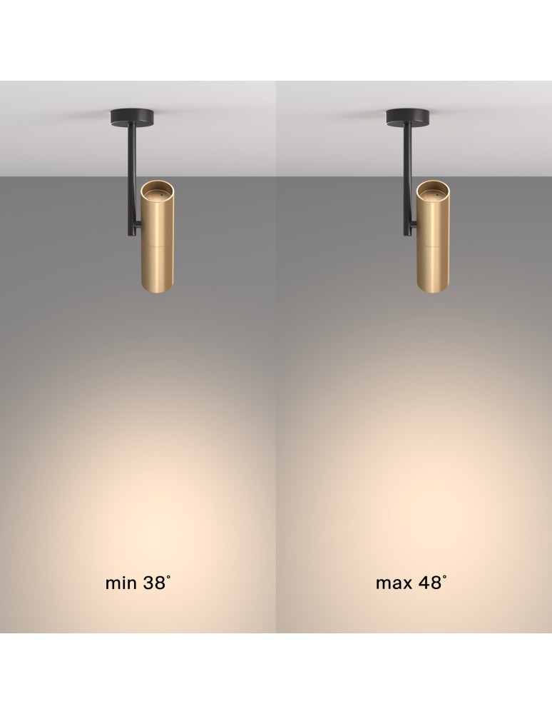 Adjustable ceiling lamps - spots - Maytoni Elti Ceiling Lamp 1xGU10 50W Black, Gold C020CL-01GB - product kolory-swiatla.pl 5