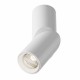 Maytoni Dafne Lampa Sufitowa LED 10W 1060lm 4000K Biały C027CL-L10W4K