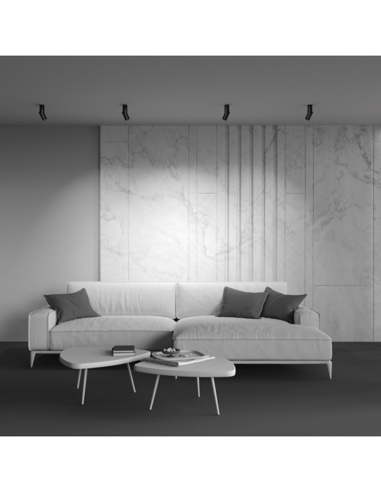 Adjustable ceiling lamps - spots - Maytoni Dafne LED Ceiling Lamp 10W 800lm 3000K Black C027CL-L10B. - product kolory-swiatla.pl 8