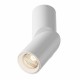 Maytoni Dafne Lampa Sufitowa LED 10W 800lm 3000K Biały C027CL-L10W