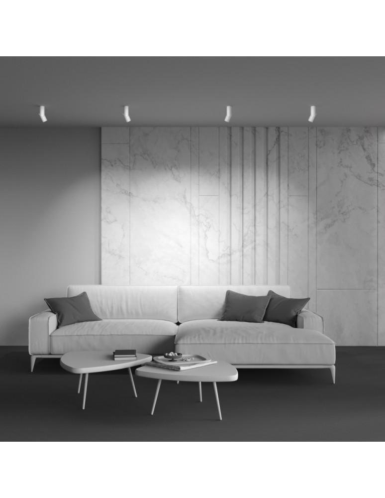 Adjustable ceiling lamps - spots - Maytoni Dafne LED Ceiling Lamp 10W 800lm 3000K White C027CL-L10W. - product kolory-swiatla.pl 7