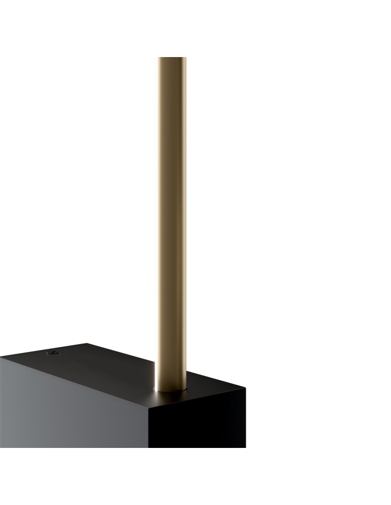 Wall lamps - Maytoni Pars LED wall lamp/wall lamp 6W 500lm 3000K Black, Gold C070WL-L6GB3K - product kolory-swiatla.pl 5