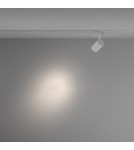 Lamps for 3-phase busbars - Maytoni Vuoro TRINITY LED 10W 800lm 4000K White TR029-3-10W4K-S-W Triple Circuit Rail Spotlight. - product 3