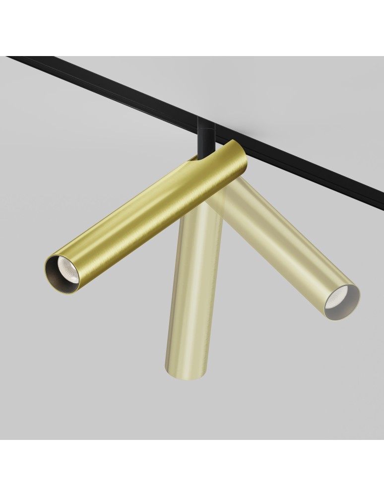 Magnetic rail lamps - Maytoni Focus T Magnetic Rail Light EXILITY LED 6W 280lm 3000K Black and brass TR141-2-6W3K-M-BS - product kolory-swiatla.pl 6