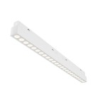 Magnetic rail lamps - Maytoni Points EXILITY LED 24W 1650lm White TR031-4-24WTW-DD-W Magnetic Rail Lamp. - product 1