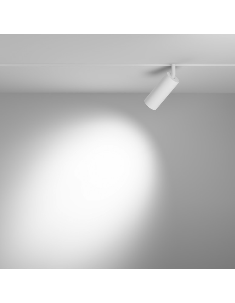 Maytoni Focus LED Lampa do Szyny Magnetycznej EXILITY LED 12W 1080lm Biały TR032-4-12W3K-S-DS-W