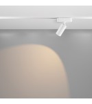 Magnetic rail lamps - Maytoni Focus LED RADITY LED Magnetic Rail Lamp 12W 1000lm 3000K White TR103-1-12W3K-M-W. - product 3