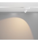 Magnetic rail lamps - Maytoni Focus LED RADITY LED 5W 400lm 3000K White TR103-1-5W3K-M-W Magnetic Rail Lamp. - product 3