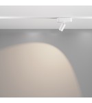 Magnetic rail lamps - Maytoni Focus LED RADITY LED 5W 450lm 4000K White TR103-1-5W4K-M-W Magnetic Rail Lamp. - product 3