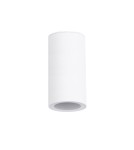 Outdoor ceiling lamps - Azzardo ROTOR IP65 WH White/Milky Glass 1xE27 Outdoor Ceiling Light AZ6066 - product 1
