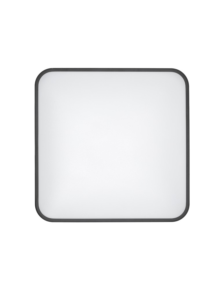 LED Plafonds - Nowodvorski AGNES SQUARE LED PRO Ceiling Lamps Plafond Max power 32W LED IP44 3000K Black 10985 - product kolory-swiatla.pl 4