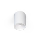 Ceiling luminaires for replaceable light source - Nowodvorski EYE TONE Spot Surface Max wattage 1x10W only LED GU10 White 8925 - product 1