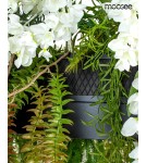 Designer pendant lamps - MOOSEE GARDENS WISTERIA 120 pendant lamp (MSE1501100438.WIST) - product 7