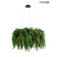 MOOSEE lampa wisząca GARDENS 70 czarna (MSE1501100436)