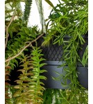 Designer pendant lamps - MOOSEE GARDENS 90 pendant lamp black (MSE1501100437) - product 8