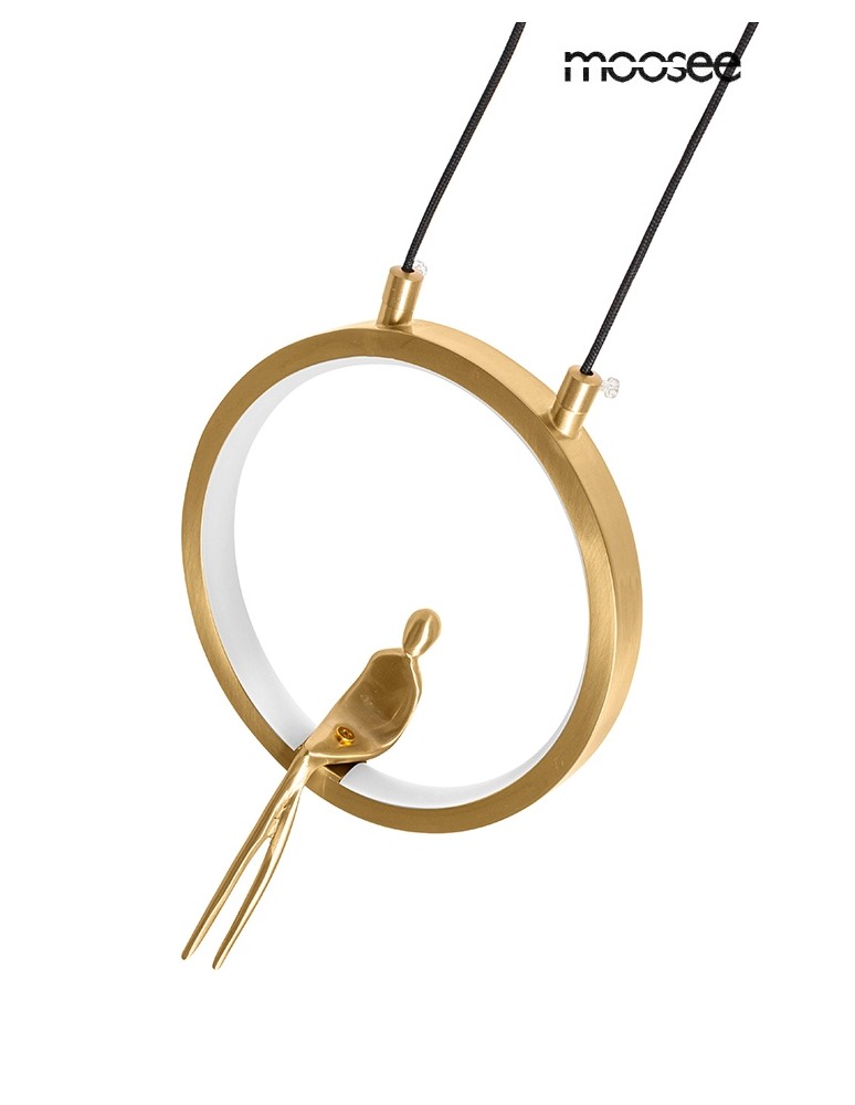 Designer pendant lamps - MOOSEE BOY CIRCLE gold pendant lamp (MSE1501100461) - product kolory-swiatla.pl 3